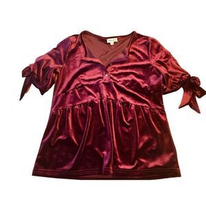 Hidden Alley Velveteen Short Sleeve Top